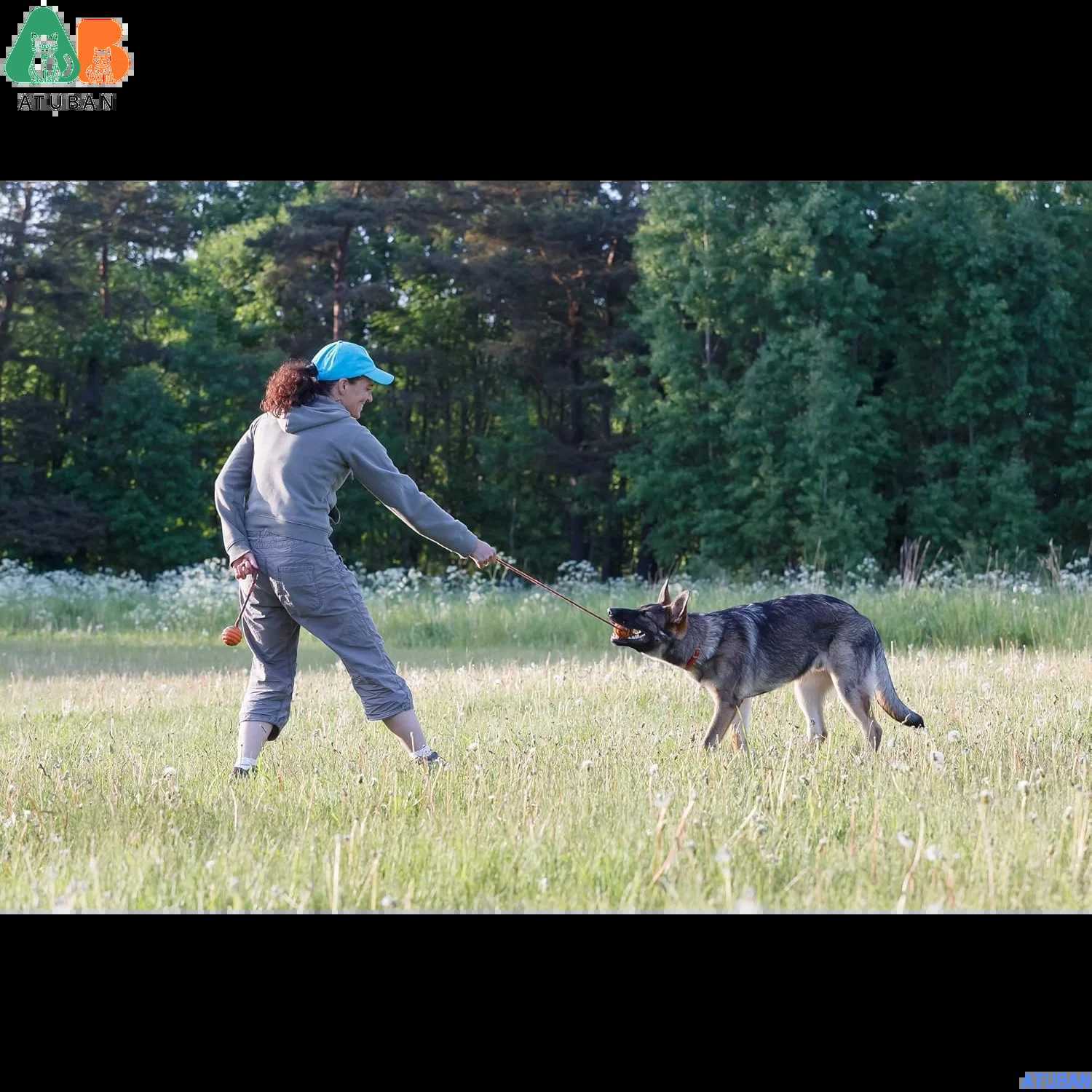 ATUBAN Durable Natural Rubber Ball on a RopePerfect Dog Training Medium Size Dog Toy for Fetch Catch Throw and Tug War Plays X250918