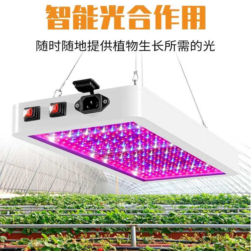 5000W Quantum Board LED Grow Light Phyto Lamp Full Spectrum LED Plants Bulb Indoor 4000W Phytolamp For Flower Seedling Fitolamp C2509191
