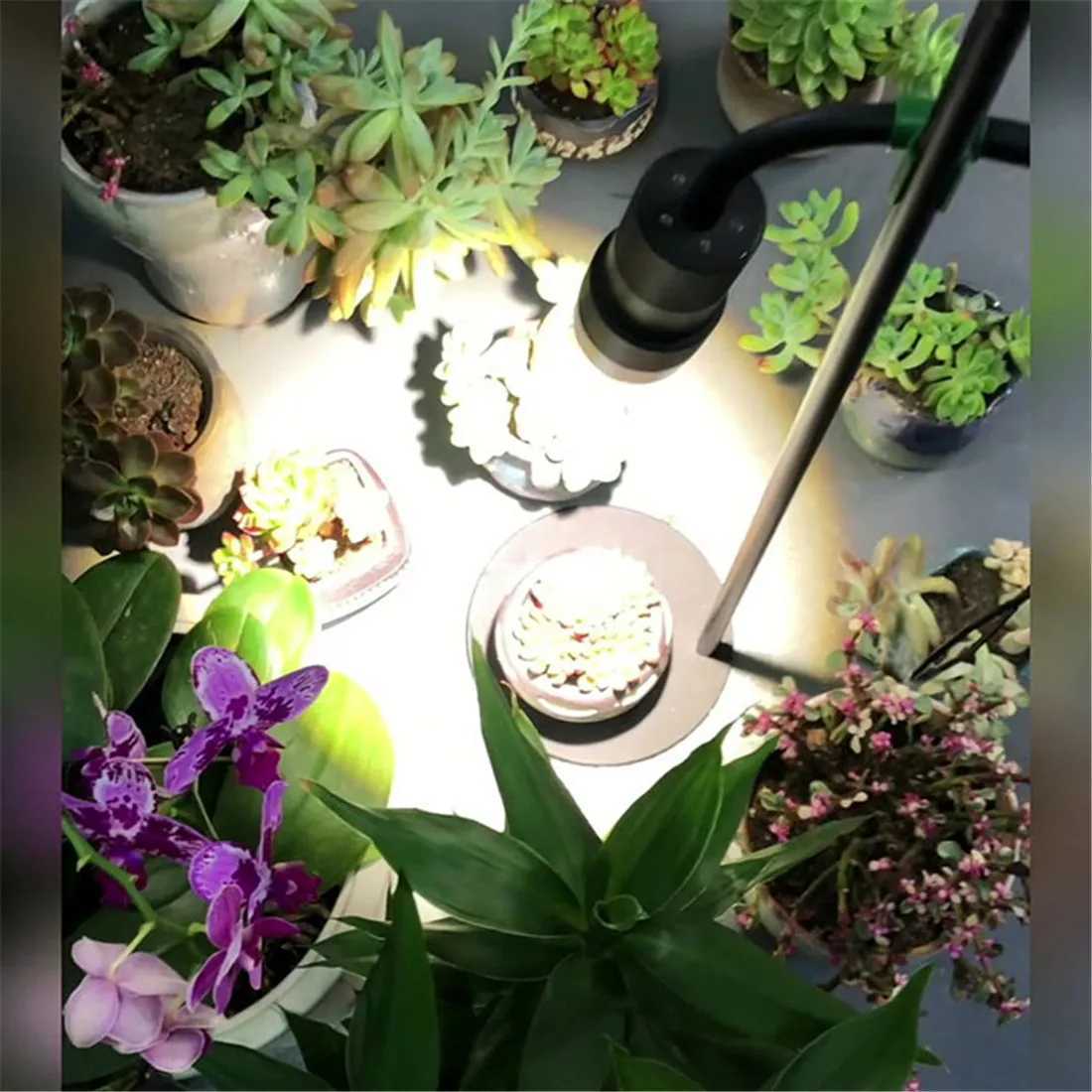 Adjusted Height Zoomable 10W LED Grow Light with 3612H Timmer Desktop Floor 5 Step Dimmable Full Spectrum Plant Growing Lamp C250919