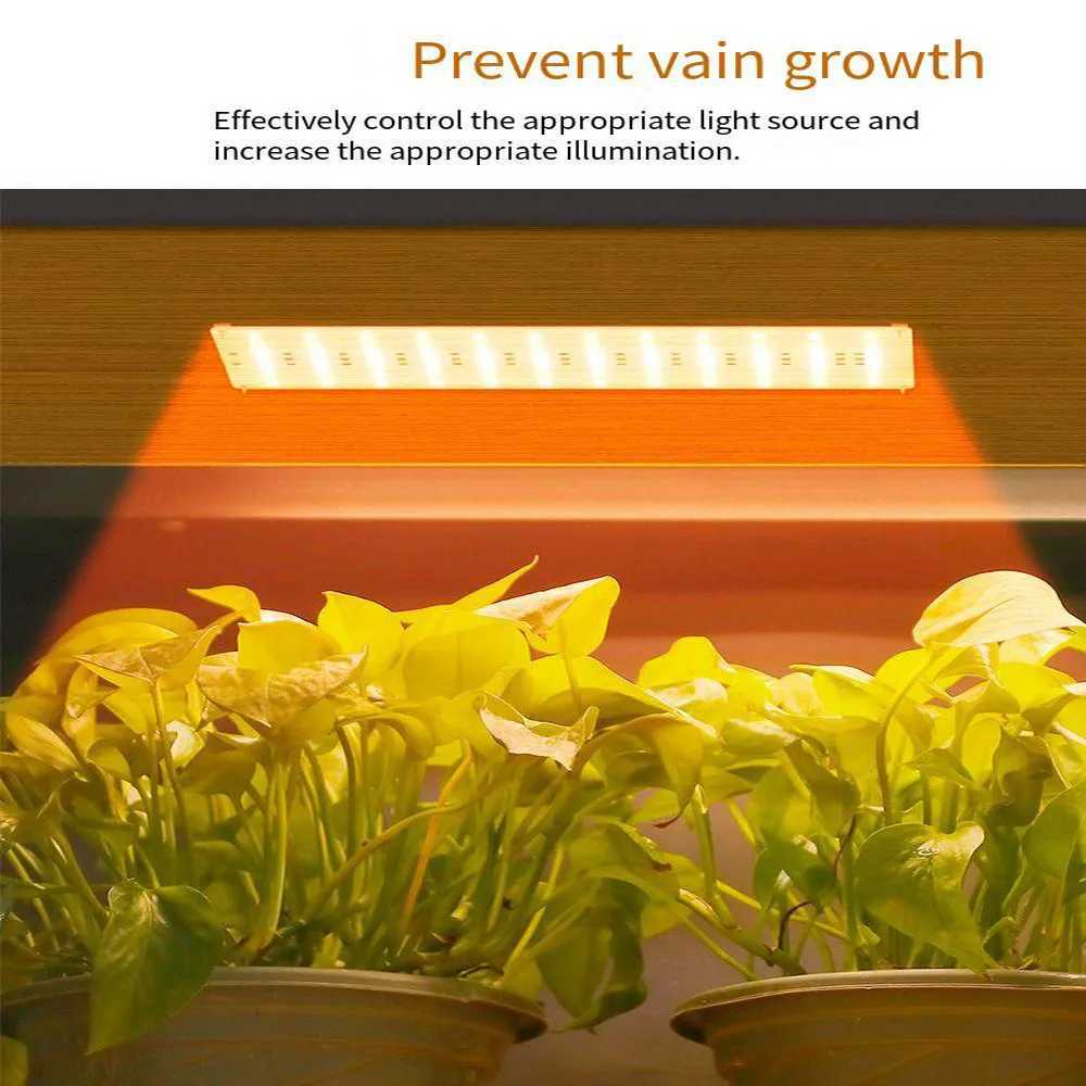 Indoor LED Growth Light USB Quantum Board Plant Supplemental Lighting Hanging 5V Plant Lamp for Indoor Gardening C250919