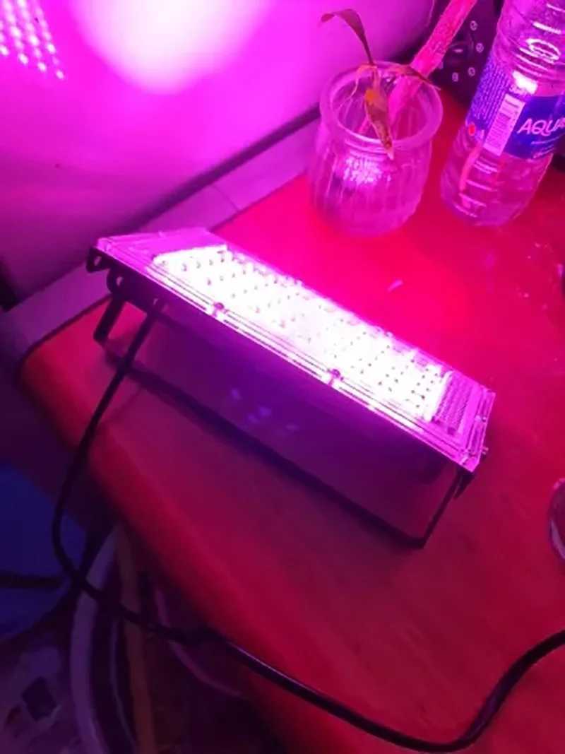 LED Grow Lamp AC 220V Full Spectrum PhytoLamp Greenhouse Hydroponic Plant Growth Light Led Uv Floodlight 50W 100W 200W 300W C250919