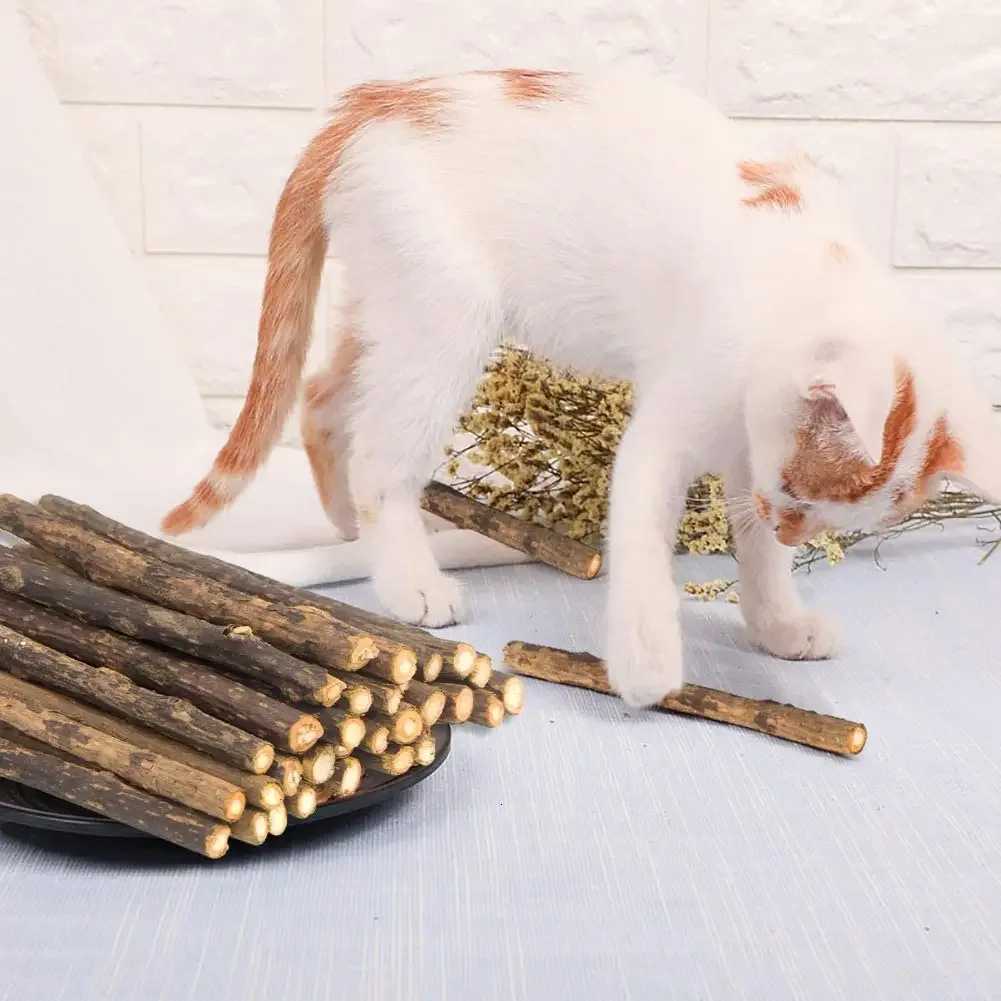 15pcs Natural Matatabi Cat Catnip Toy Kitten Molar Chew Stick Pet Cleaning Teeth Cat Treat Toy Actinidia Silvervine Pet Products X250918