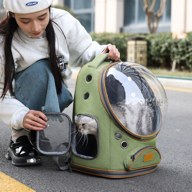 New Cat Backpack Large Capacity Breathable Panoramic Space Capsule Pet Outing Portable Bag