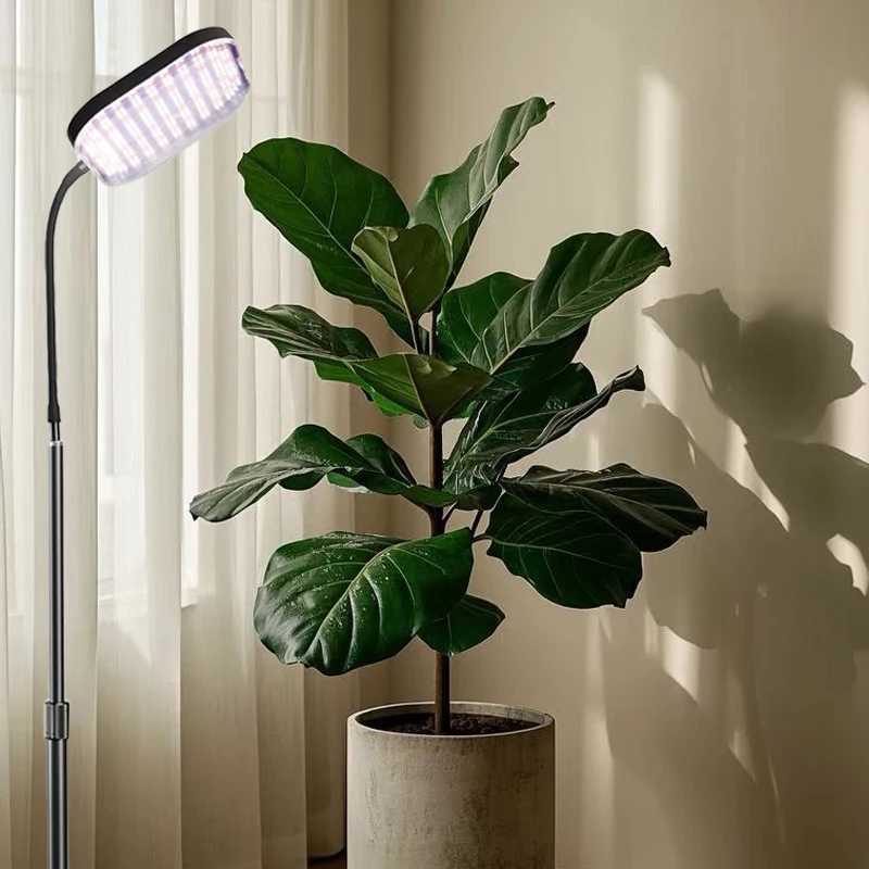 Plant Grow Light LED Full Spectrum Plant Growing Lamp for Home Office Indoor PlantsAdjustable Height Auto Timer C250919