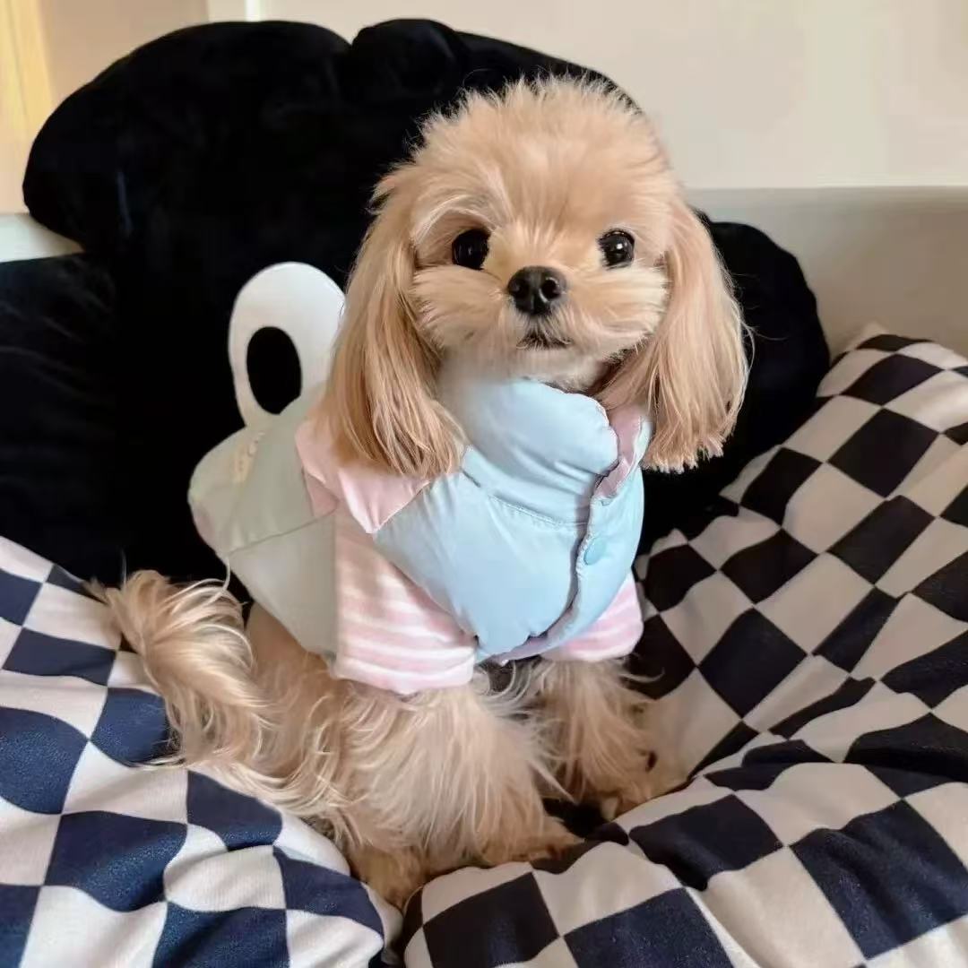 T1257 Dog Clothes Autumn and Winter Thick Cat Princess Fantasy Fragrance Wind Traction Warm Small Pet