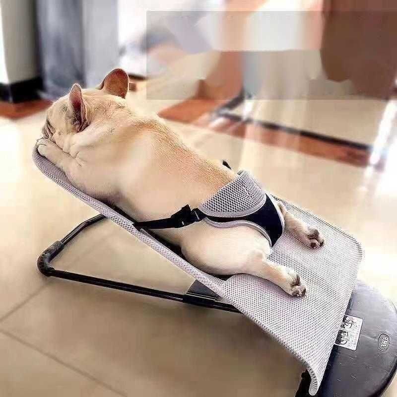 Other Pet Supplies Pet Rocking Chair Foldable Multi Angle Adjustable Common To Cats And Dogs Metal Frame Mesh Small Dog Rocking Chairs Nap Hammocks