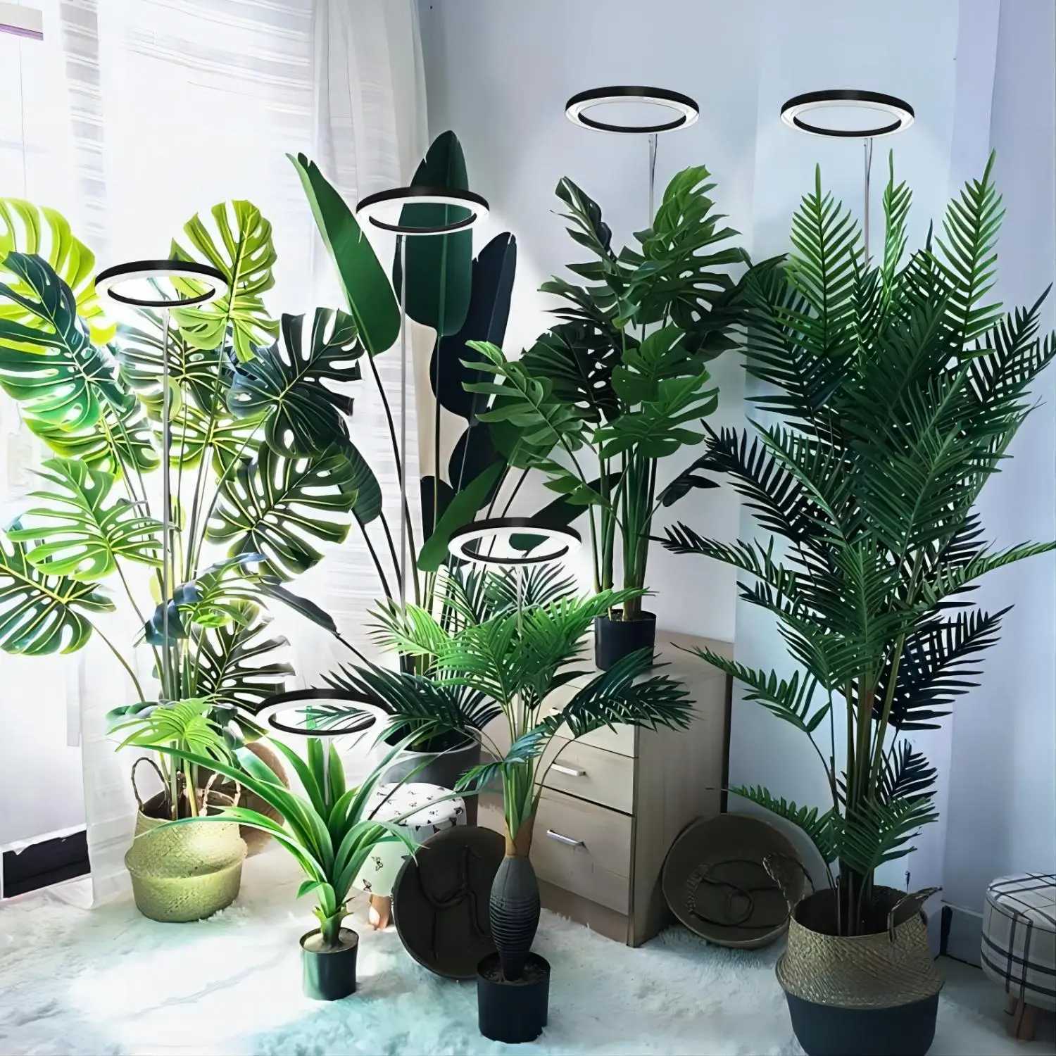Plant growth light full spectrum LED indoor plant lighting height adjustable with automatic switch timer for 3912 hours C250919