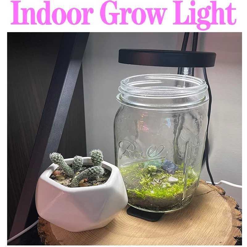 Full Spectrum Plant Lamp USB Grow Light LED Growth Light Phyto Lamp Flower Seedling Hydroponic Lighting Grow Lamp Phyto Lamp C250919