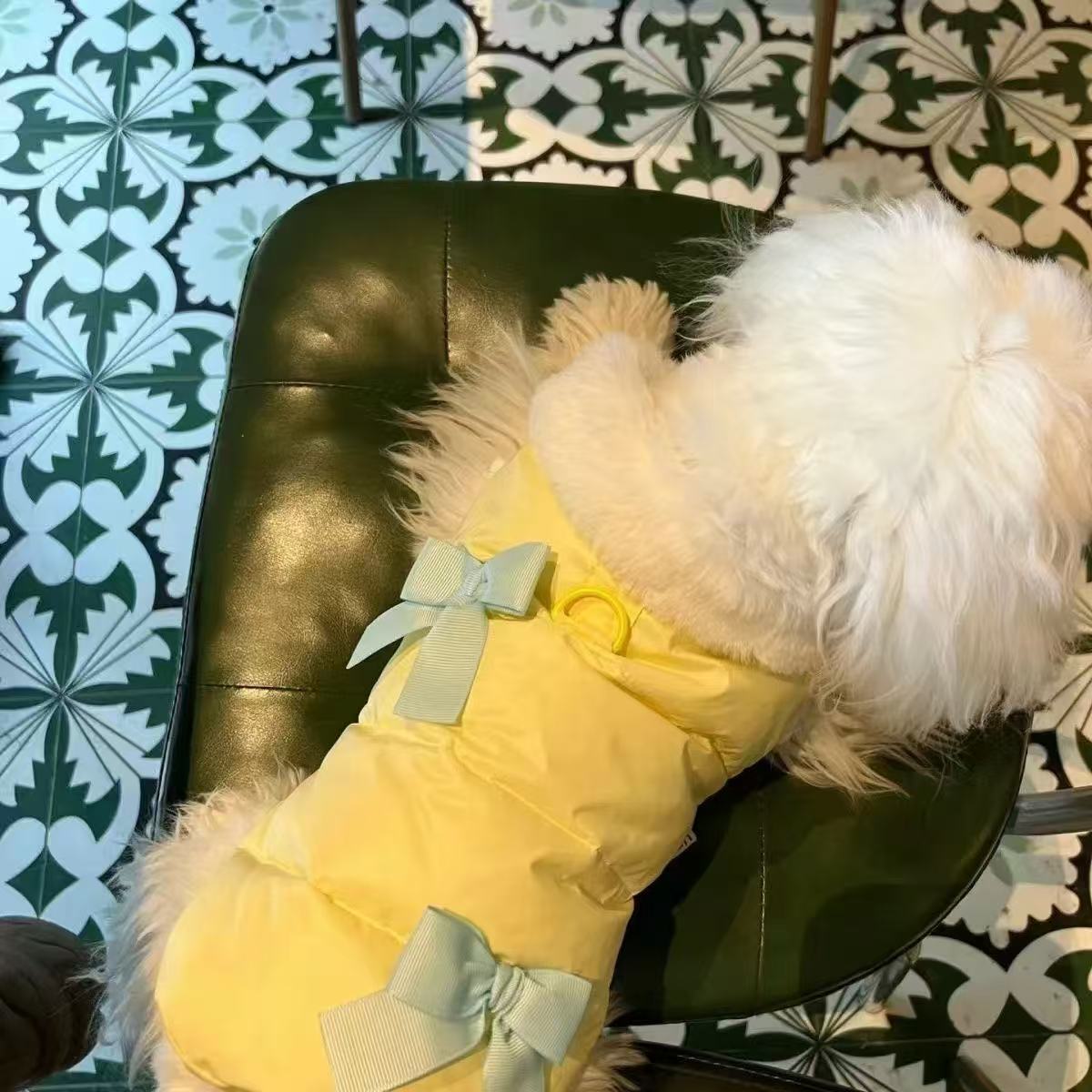 T1260 Dog and cat clothes autumn and winter new small dog Yorkshire terrier Teddy Bichon trendy brand hooded sweatshirt warm thick