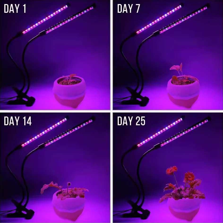 USB LED Plant Grow Light Indoor Garden 10 Dimmable Levels Grow Light Full Spectrum Timer Setting Hydroponic Greenhouse 3H9H12H C250919