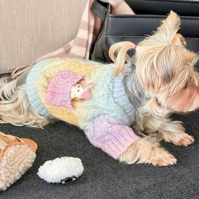 2025 New Arrival Cute Colorful Patterned Sweater for Small Pet Dogs Warm Wear Fashionable Dog Clothes S25911