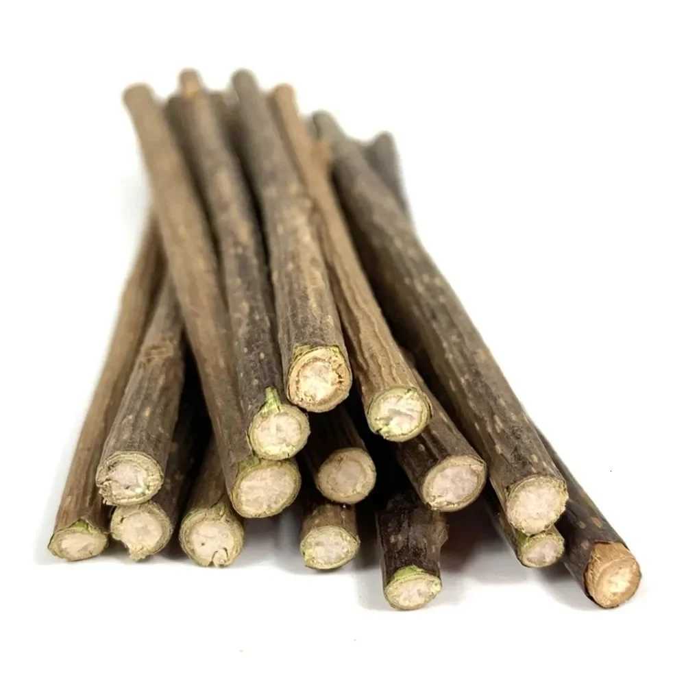 15pcs Natural Matatabi Cat Catnip Toy Kitten Molar Chew Stick Pet Cleaning Teeth Cat Treat Toy Actinidia Silvervine Pet Products X250918