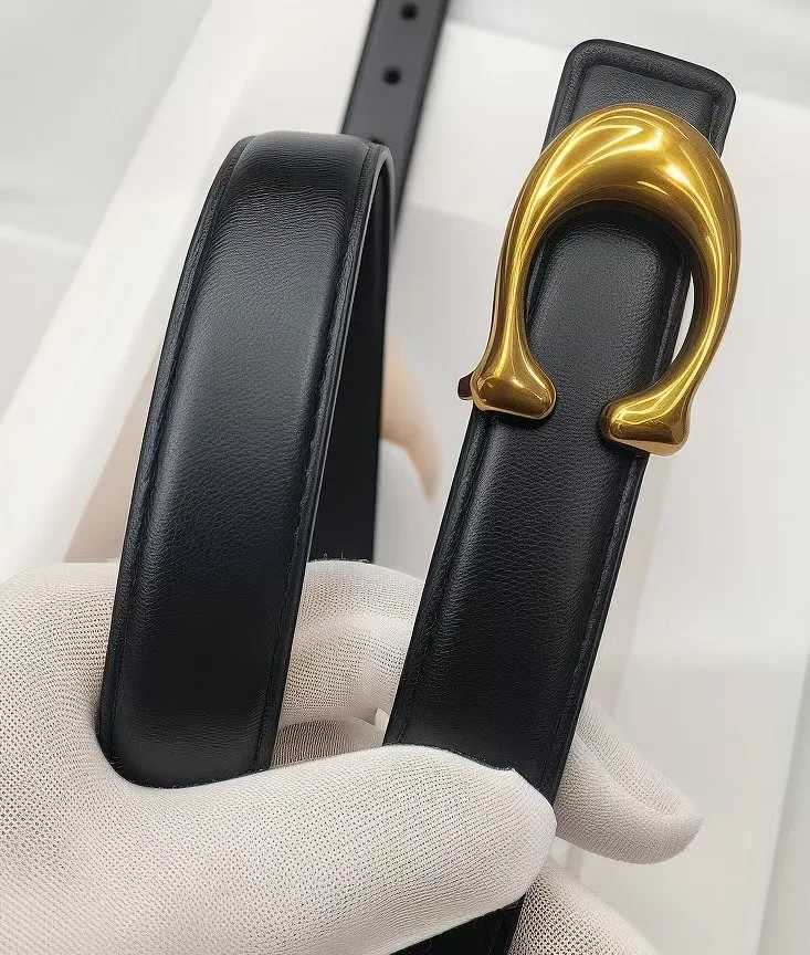 Luxury Brand Leather Belt for Women Designer Alloy Buckle Waist Strap Female Jeans Trouser Dress Waistband Z250919