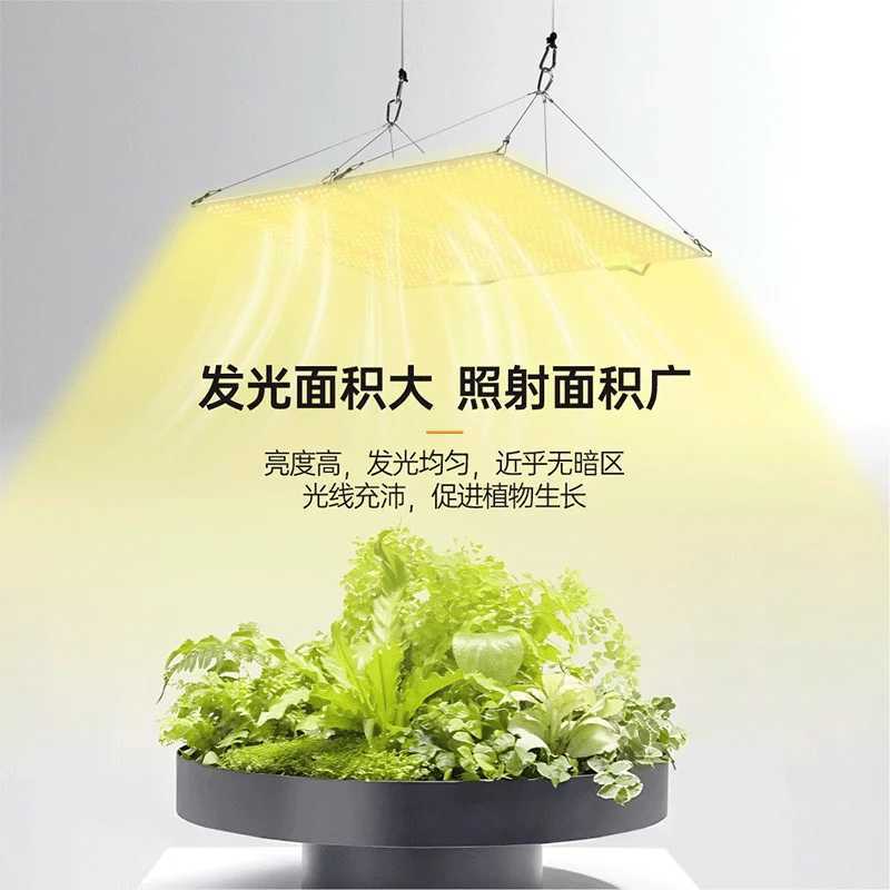 New LED Grow Light Plant Growth Lamp Dimmable Quantum Board Greenhouse Vegetable Fruit Seed Flower Full Spectrum Fill Light C250919