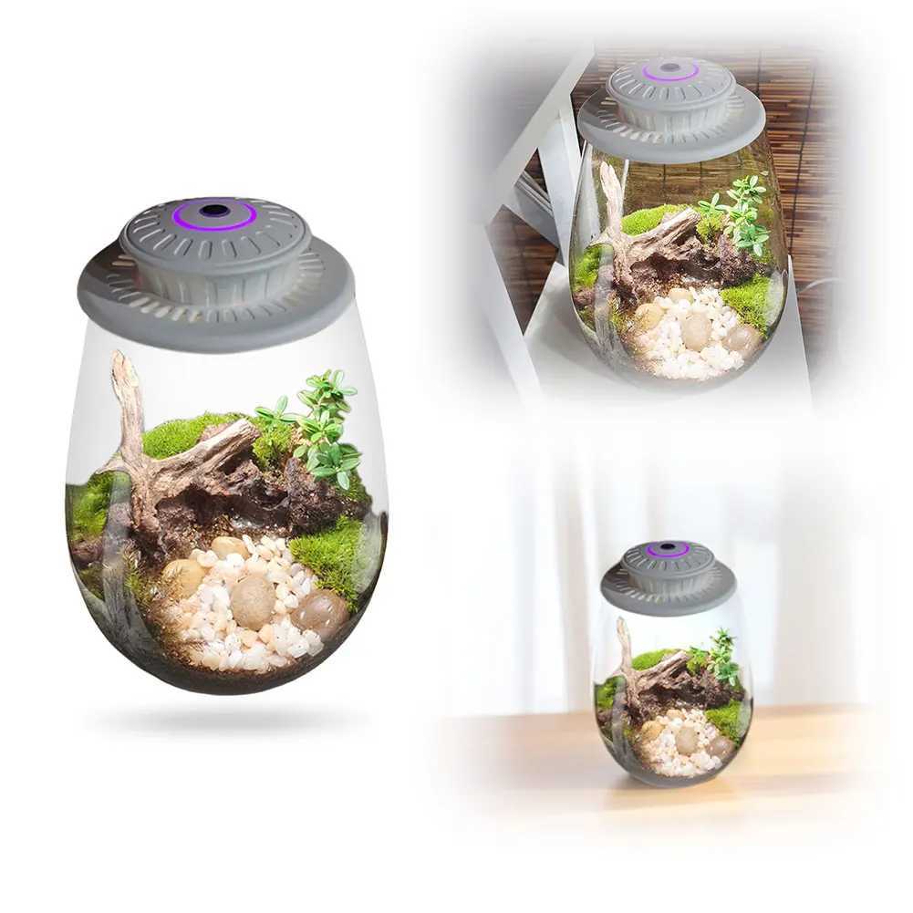 Fern Moss MicroLandscape Grow Light with Timer LED Full Spectrum Growing Lamp 6500K for Indoor Plants Succulents Mini Bonsai C250919