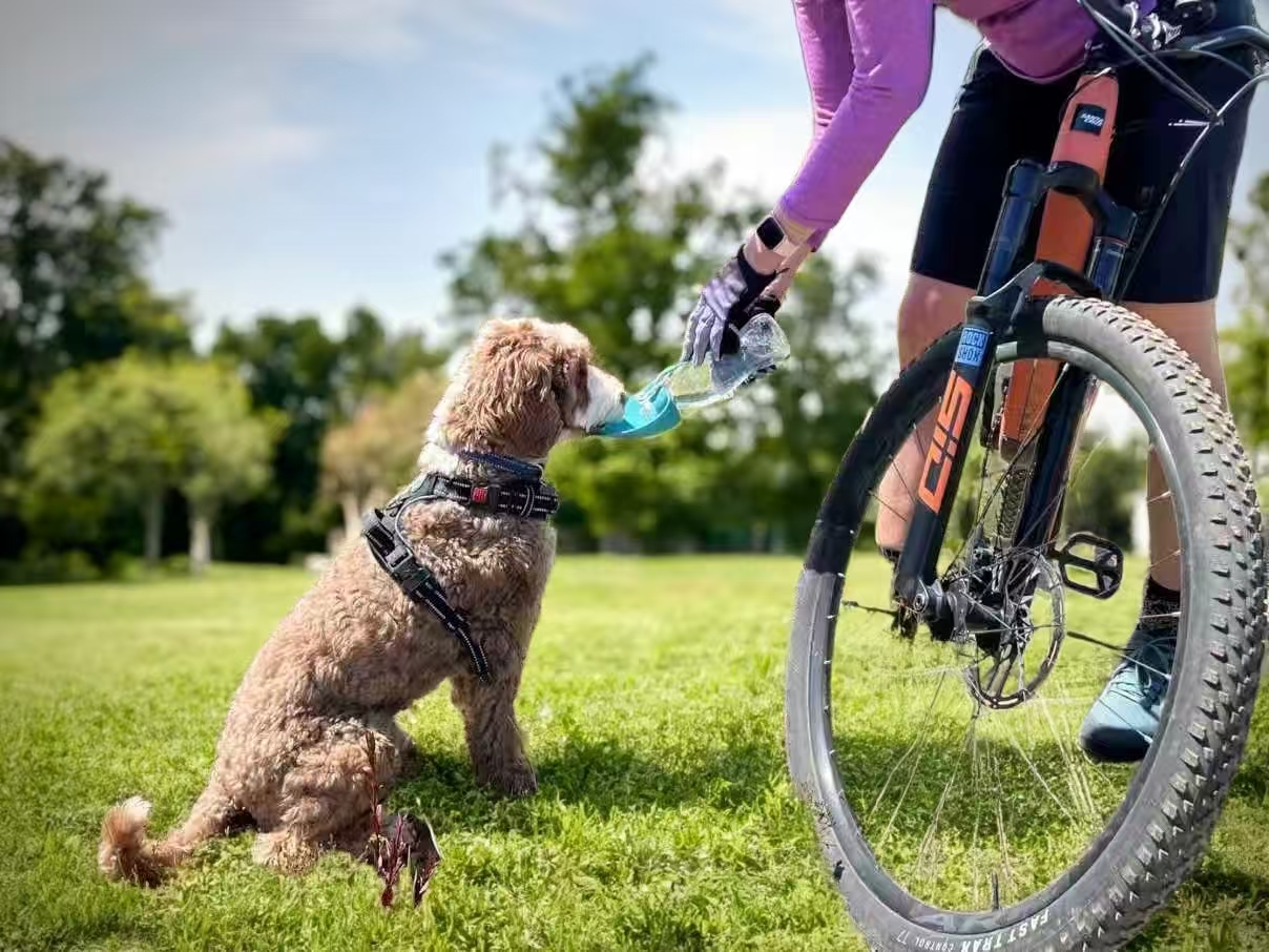Portable Dog & Cat Water Dispenser - 800ML for Pets During Walks