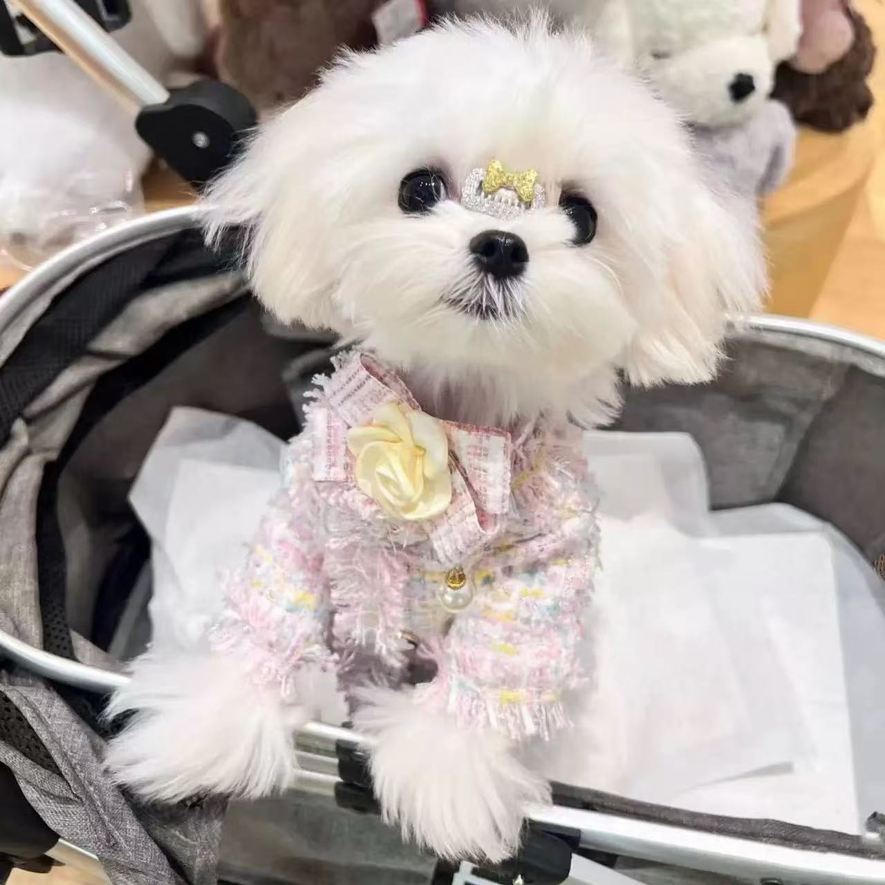 00000 Cardigan Yorkshire Terrier Maltese clothes cat clothes autumn and winter autumn winter small body puppies