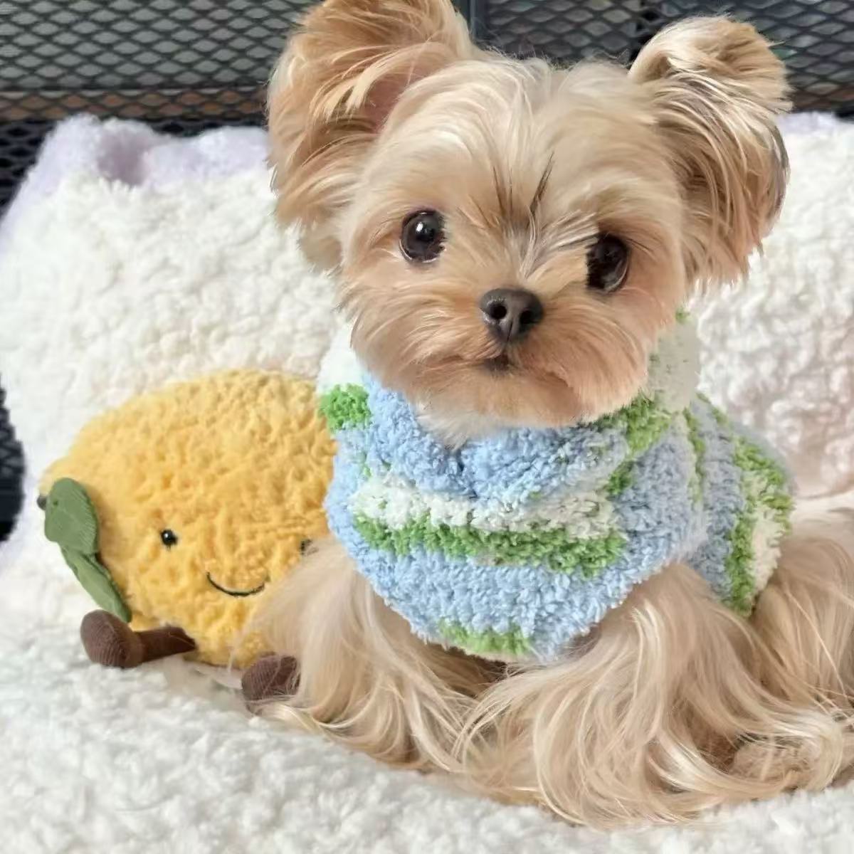 T1334 Cat Dog Sweater Vest Winter New Teddy Yorkshire Terrier Small Dog Pet Clothing Warm