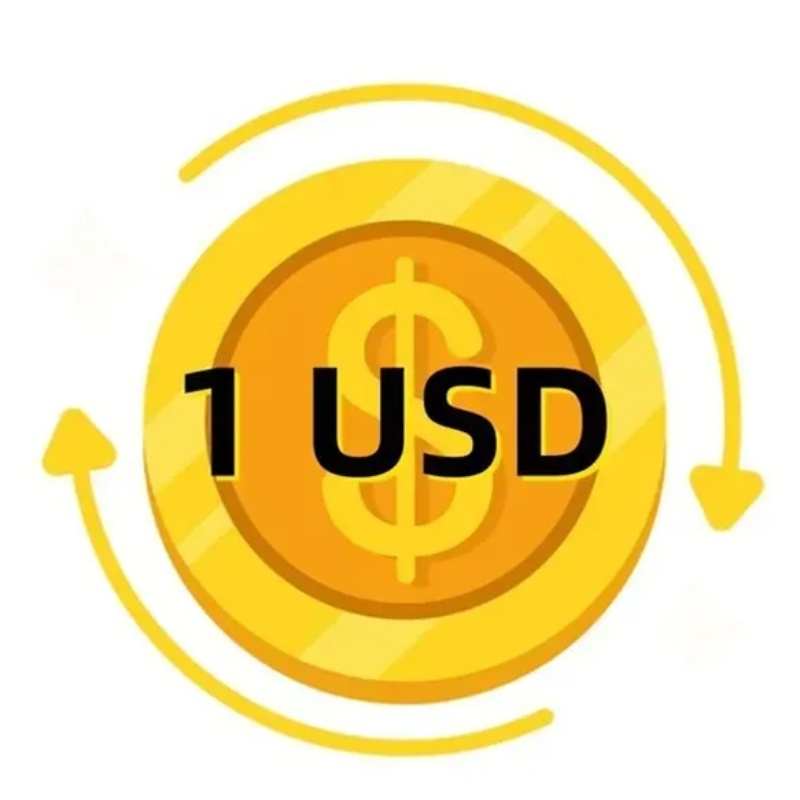 Payment link This is used to supplement the price difference and does not represent any actual products the produ cts are subject to chat communication02