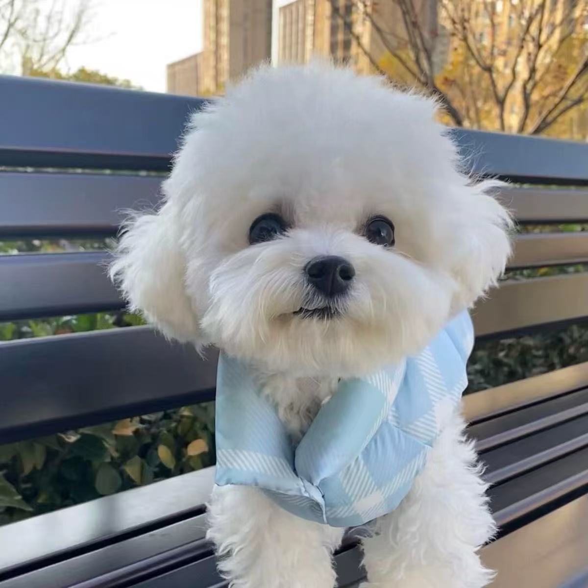 T1287 Dog winter clothes thick warm dogs and cats pet two-legged clothes winter cold small and medium-sized dogs