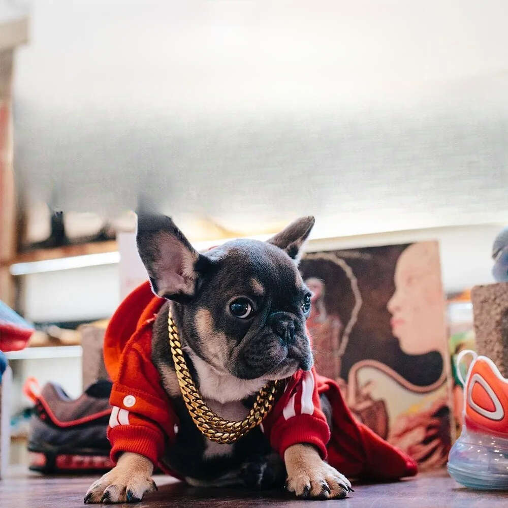 2025 new Designer Bed with Pillow and Blanket Anti-Anxiety Orthopedic Pet Beds Sofa for Indoor Cats or Cozy Dog House Puppy Poodles Nest Sleep Warm Ke