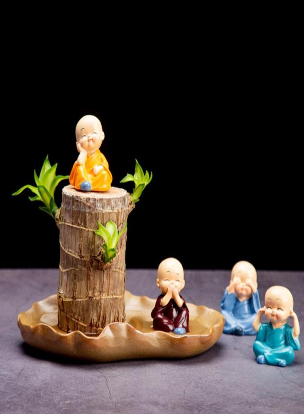 Cute Lucky Wood Plant Home Decor Brazil Wood Hydroponic Water Potted Tree Stump Mini Plant Indoor Office Home Desk Decor6118823