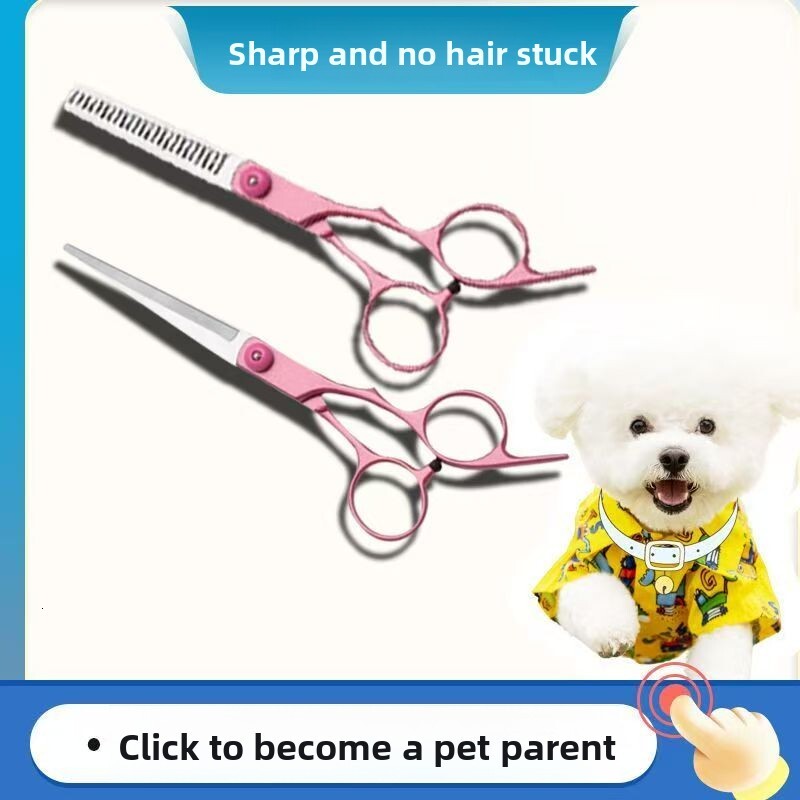 Pet Professional Haircut Tool Set Grooming Kit Teddy Hair Curved Scissors Dog Teeth Trimming high quality Wholesale