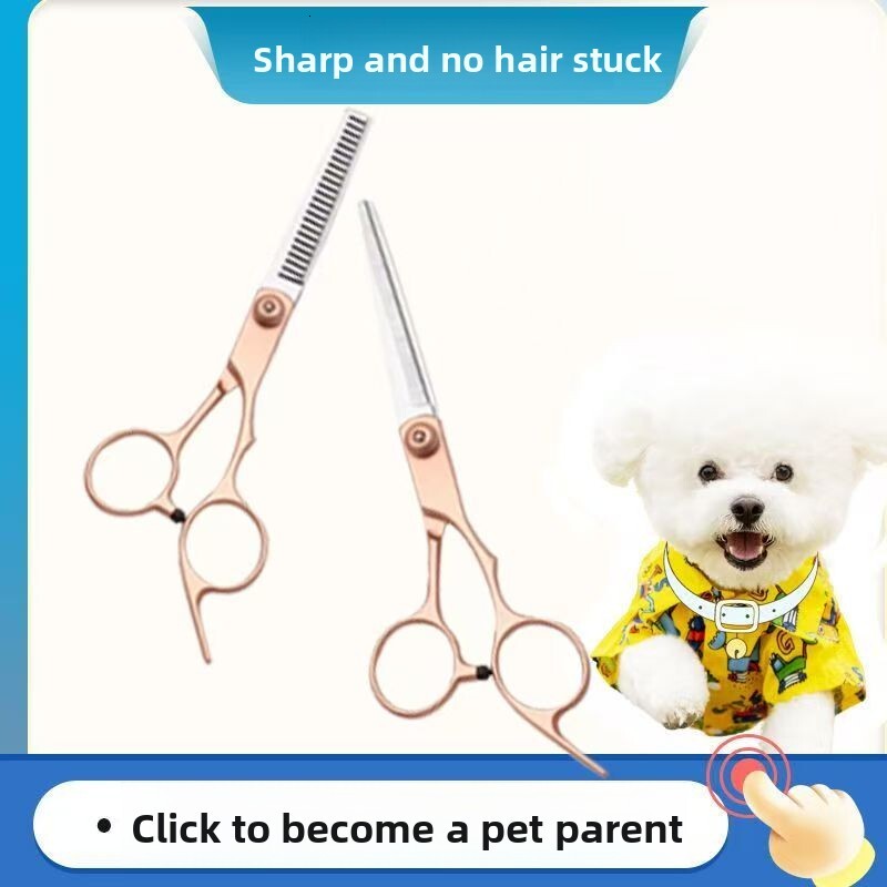Pet Professional Haircut Tool Set Grooming Kit Teddy Hair Curved Scissors Dog Teeth Trimming high quality Wholesale