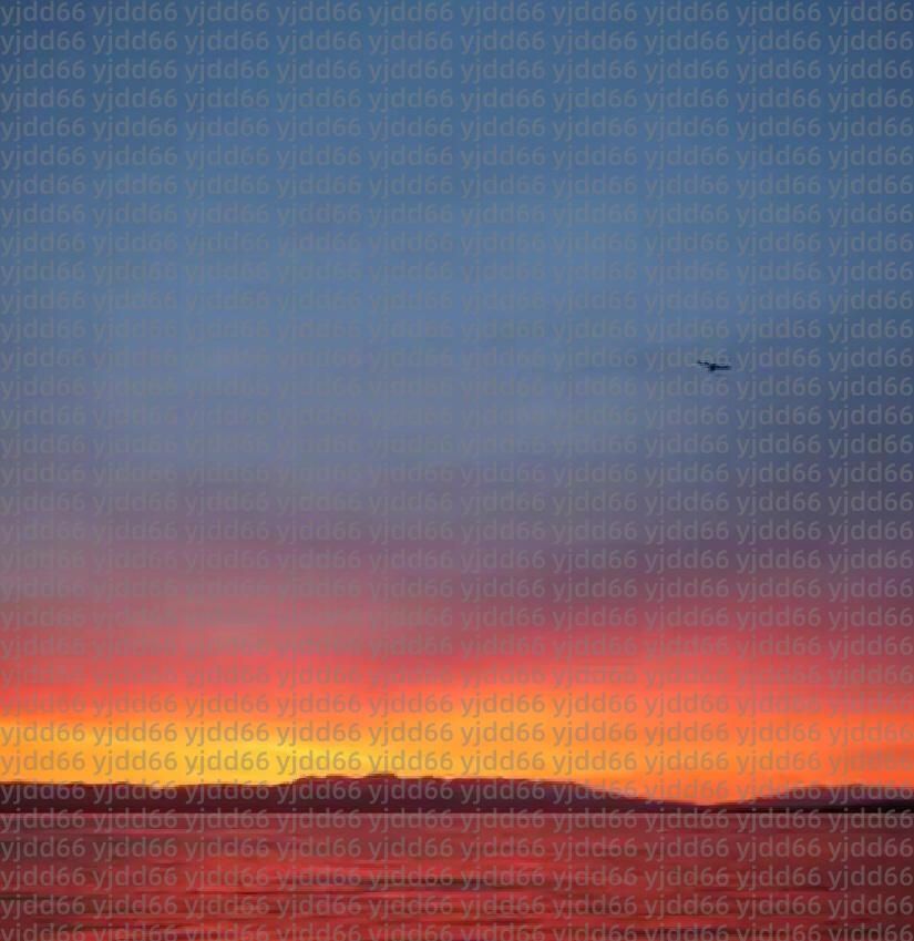 feicheng sdaeriuyuyedwhjuygewryuuwjkiqoiq