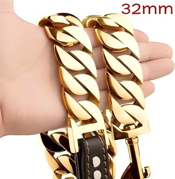 Heavy-Duty Rugged Dog Collar with Soft Grip Handle for Adventurous Pets