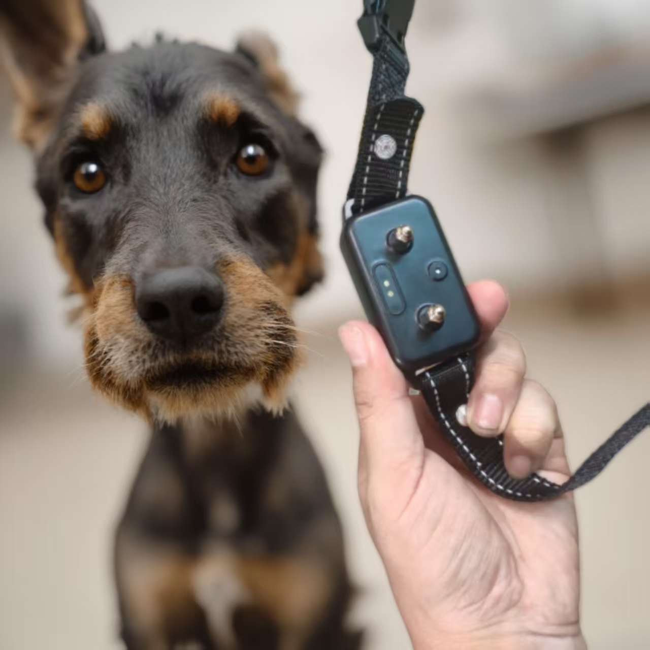 dog bark collar is suitable for large, medium and small dogs, rechargeable smart bark collar, anti-bark training collar, with 5 adjustable sensitivity