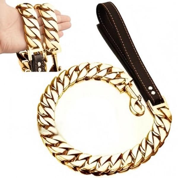 Heavy-Duty Rugged Dog Collar with Soft Grip Handle for Adventurous Pets