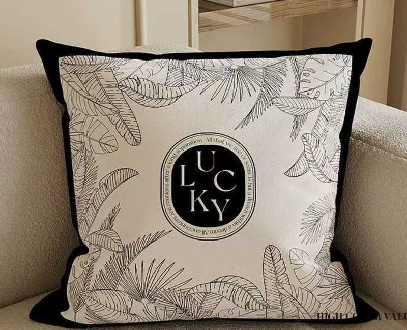 Nordic Light Luxury Design Pillow French Style Pillow Black and White Abstract Art Sofa Cushion Bedroom Cushion Pad C250923