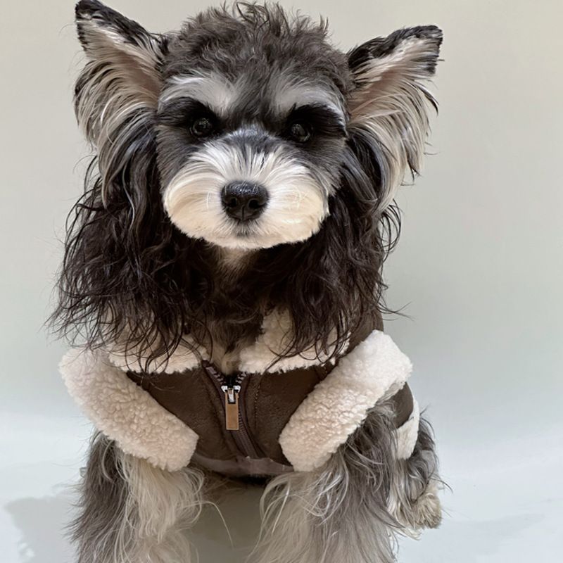 dog jacket Designer Dog Clothes dogs coat With Fleece Lining Soft and Warm Leather et Pet Winter Coat ic Letters Cold Weather Apparel for Small Medium