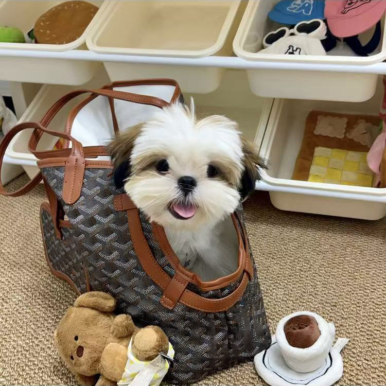 Designer Pet Carrier Bag Large Tote Dog Bag For Puppy Cat Handbags Animals Leather Travel Bag Shopping Walking With Dogs