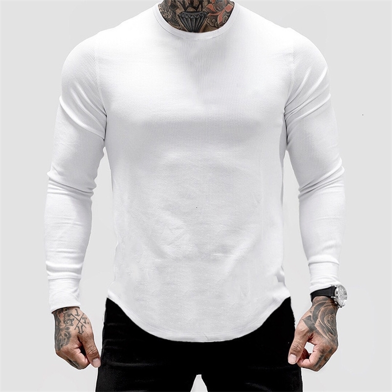 Men's T-Shirts Men's Sweater Long Sleeve T-shirt Solid Color Fitness Autumn Spring Leisure Sweatshirt 230403