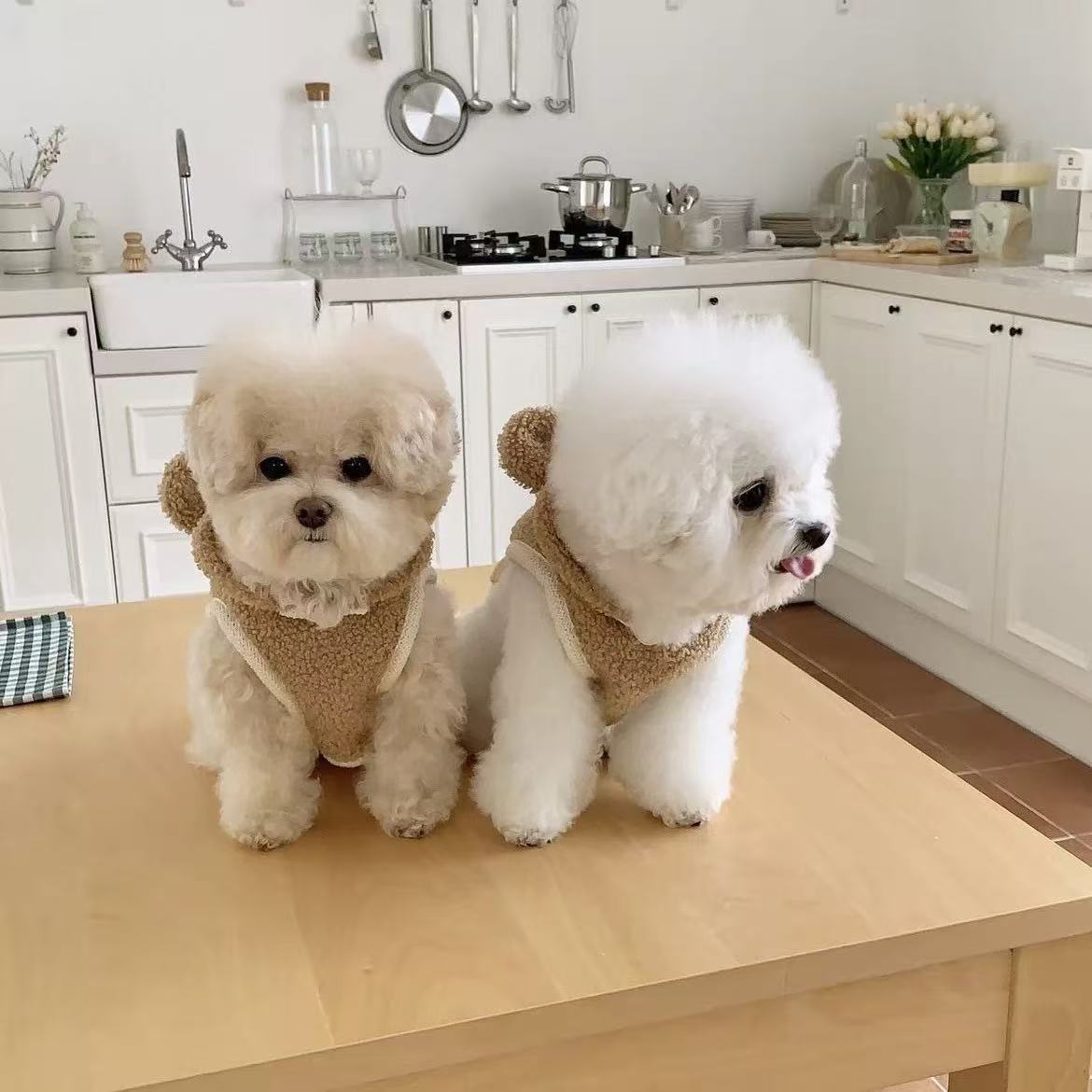 T1310 ins Korean warm pet clothes cloak shawl small and medium-sized dogs cat Teddy autumn and winter thick warm