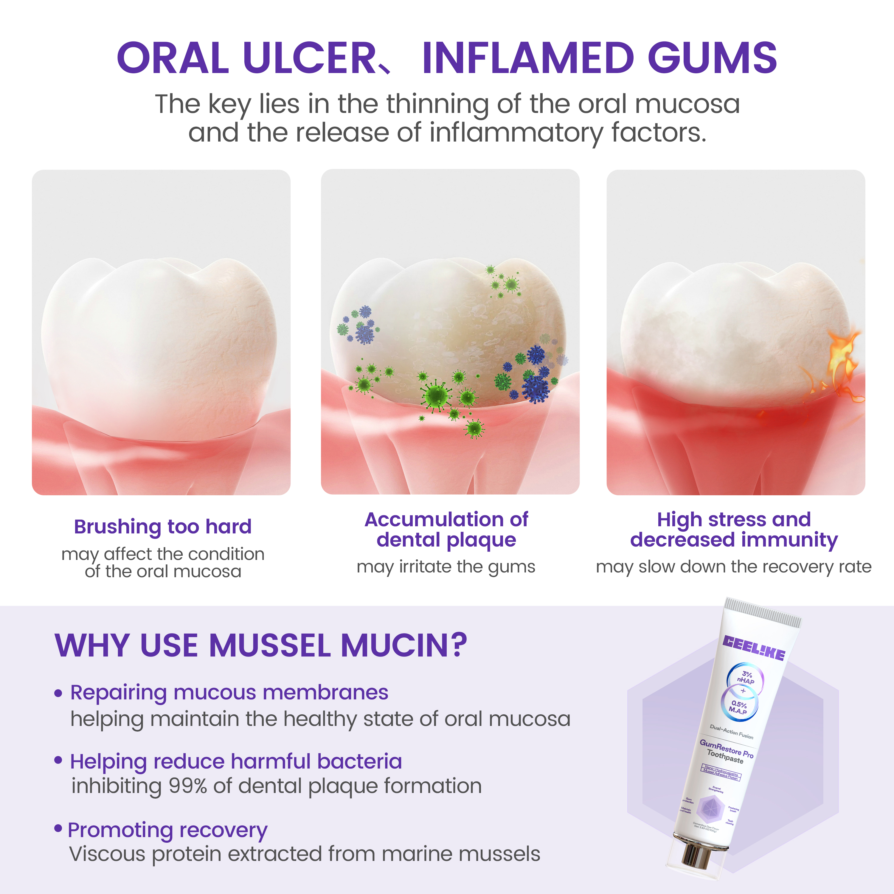 CEELIKE Gum Care Toothpaste - Dual-Action Enamel & Gum Support with 3% Nano Hydroxyapatite (nHAP) & 0.5% Mussel Adhesive Protein - 3.53oz