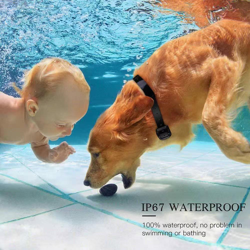 dog shock collar with remote control- 800m Dog Training innovative IPX7 waterproof, with 3 training modes, rechargeable electronic collar, suitable fo