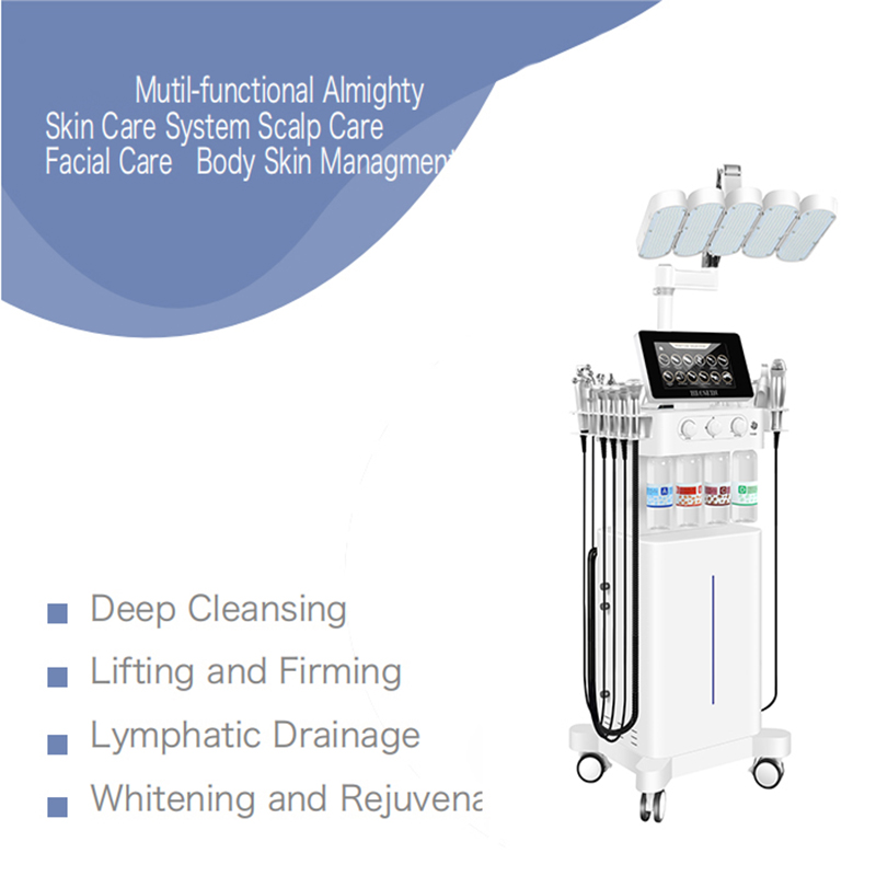 Salon Use New Model 12 In 1 Hydro Dermabrasion Diamond Facial Skin Care Machine Wrinkle Removal Machine LED Light Therapy Facial Mask Face Massage Mac