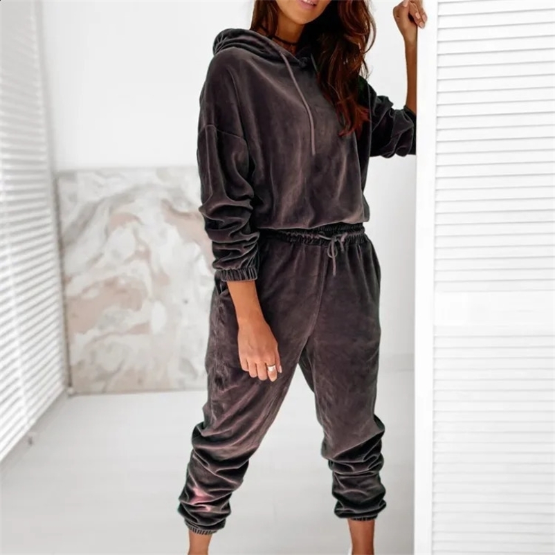 Velvet Material Women 2 Piece Set Casual Sport Outfits Tracksuit Hoodies SweatshirtPants Spring Sportswear Running Sets 240809