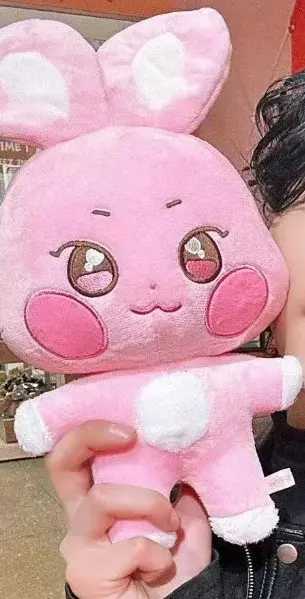 Kpop Aniteez Kawaii Stuffed Animals Plushies Toy Room Decor Hongjoong Seonghwa Yunho Yeosang San Ming Wooyoung Jongho Plu C250925