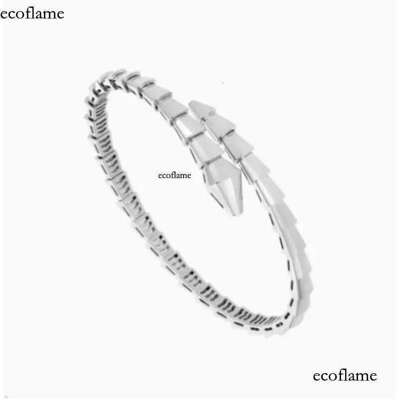 Designer Jewelry Narrow Single Circle Snake Designers Bracelet Gold Bracelets Bangle Party Birthday Gift High Quality H446