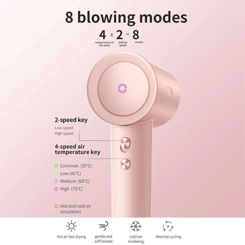 High-Speed Electric Adjustable Temperature Professional Low Noise Fast Drying Anion Hair Care Blow Dryer
