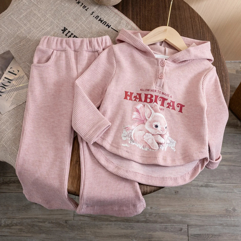 Childrens top and bottom clothes set 2pcs Spring and Autumn Hooded Sweatshirt Wide Leg Pants Simple n Printed Outerwear 250224