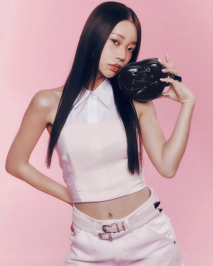 Autumn/winter 2025 new niche design Korean style minimalist design heart-shaped small bag elegant light luxury bag style handbag women's shoulder