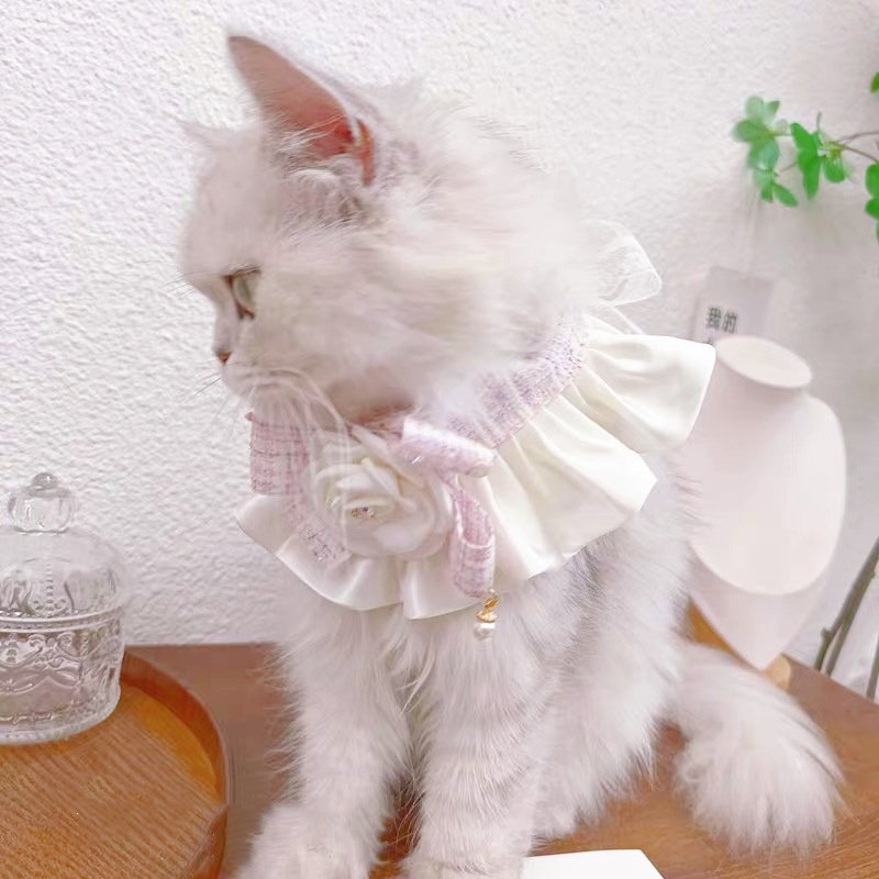 Luxury Cat Collars Elegant Cowbot Pet Woven Straw Cat Neckerchiefs for Daily Collocation Camellia for Photo