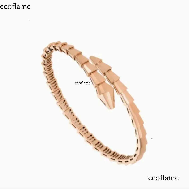 Designer Jewelry Narrow Single Circle Snake Designers Bracelet Gold Bracelets Bangle Party Birthday Gift High Quality H446