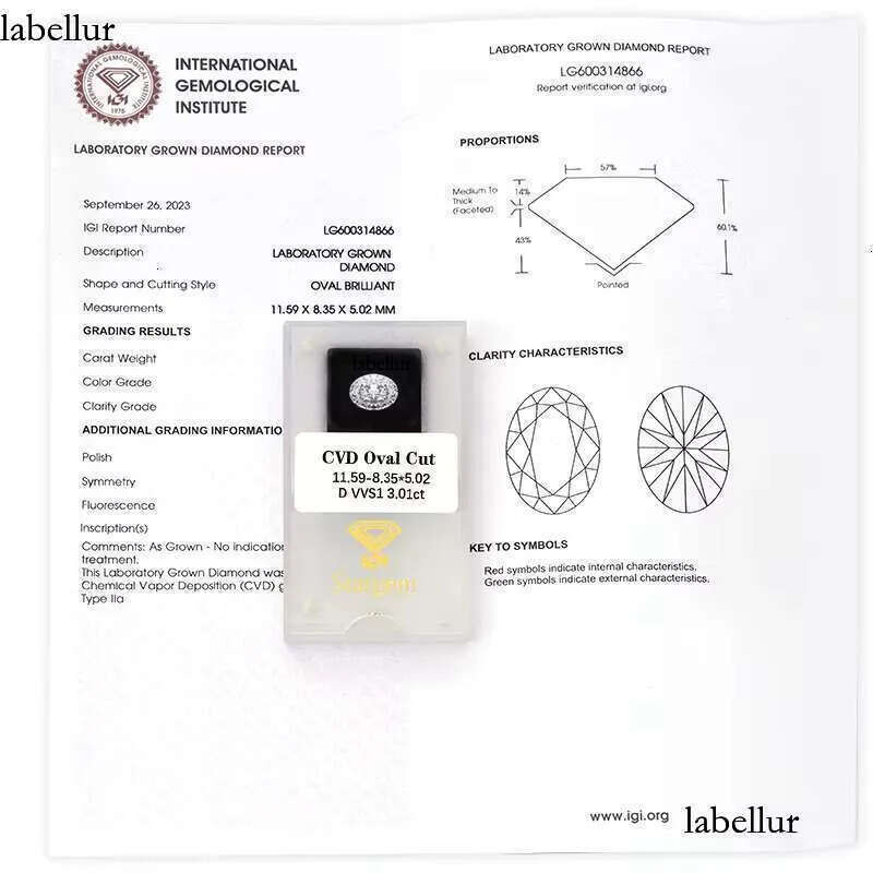 Loose Dia IGI GIA Certificate 1ct 2ct 3ct Oval Cut HPHT CVD Lab Grown Dias