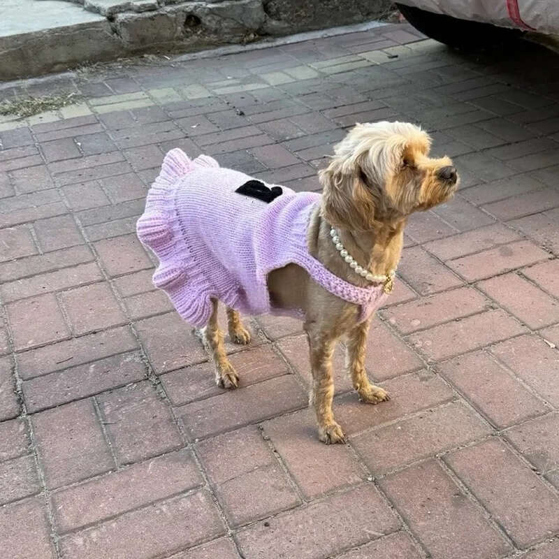 2025 new Designer Dog Puppy Dress, Warm Pet Small Clothes Winter Rabbit Sweater Pets Sweatshirt Dogs Coat Cat Coats Kitten Dresses Candy XS